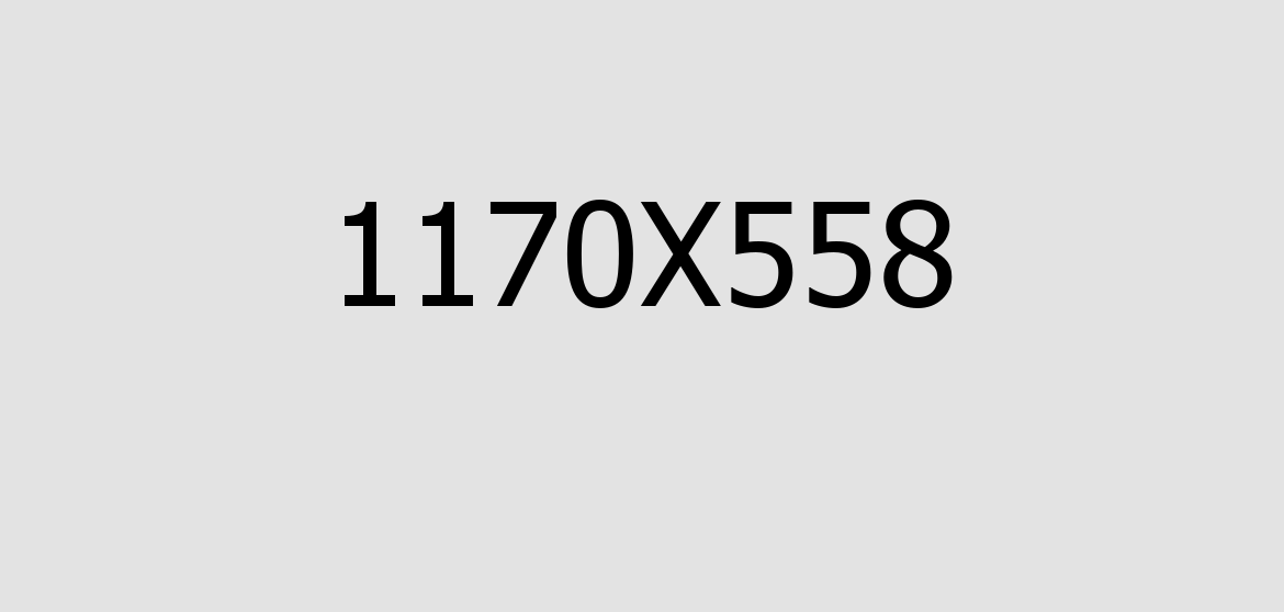 portfolio details