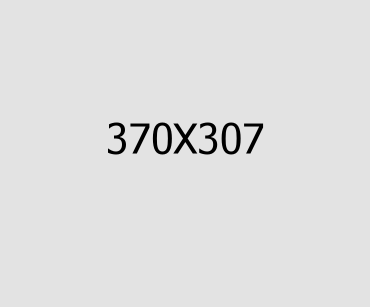 portfolio details