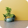 Doporučené Novinky
