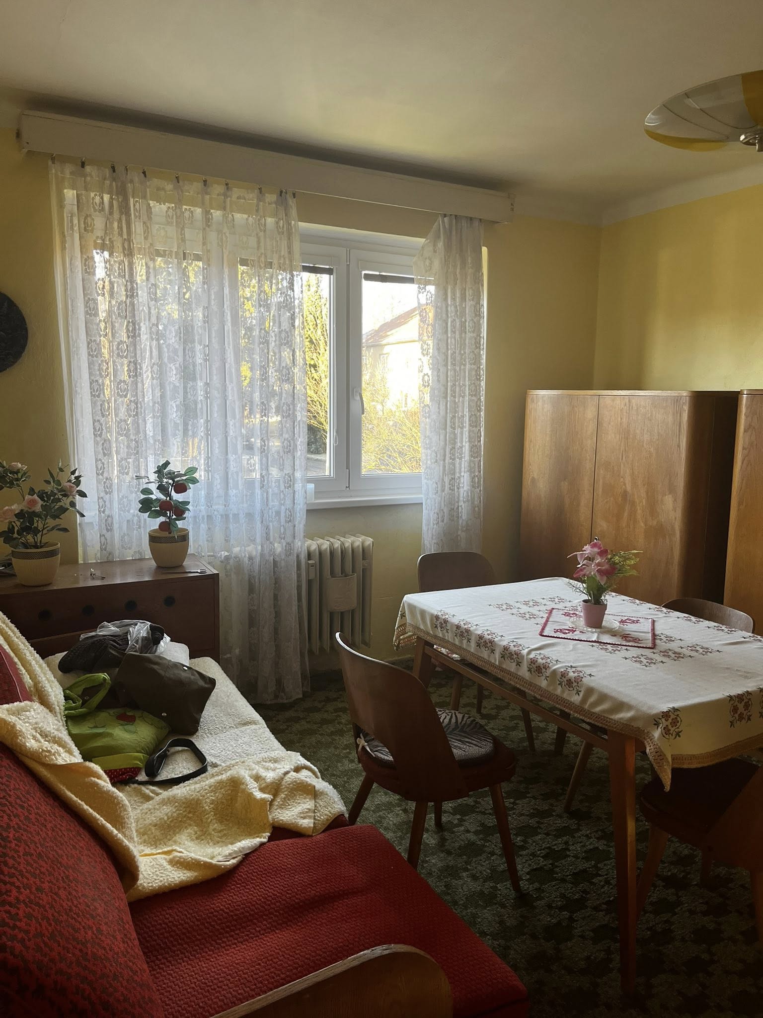 Foto 7