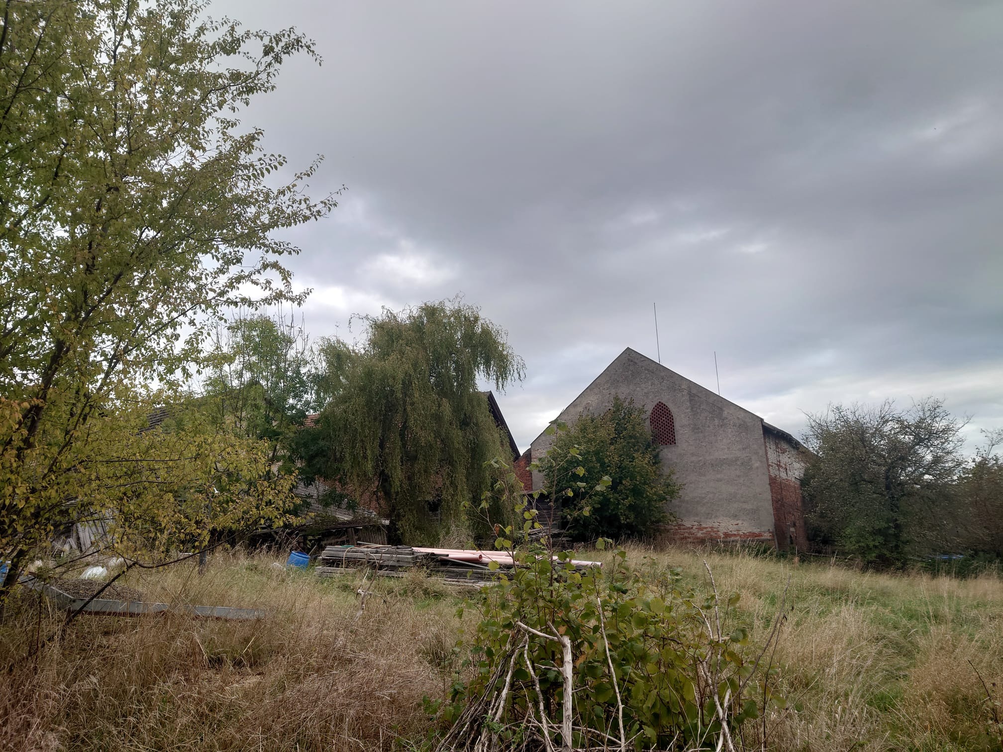 Foto 5
