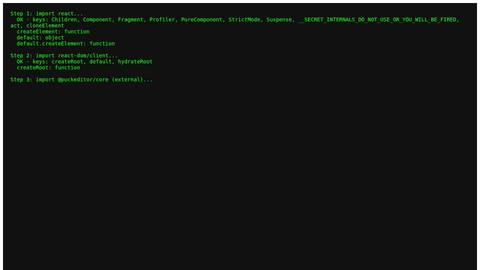 puck-debug