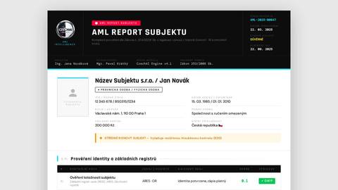 vzor-aml-report